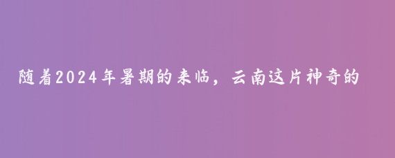 随着2024年暑期的来临，云南这片神奇的土地再次成为了国内外游客瞩目的焦点