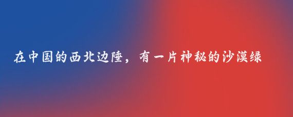 在中国的西北边陲，有一片神秘的沙漠绿洲——巴音郭楞塔里木胡杨林