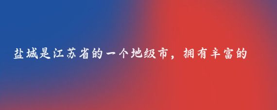 盐城是江苏省的一个地级市，拥有丰富的自然景观和人文历史