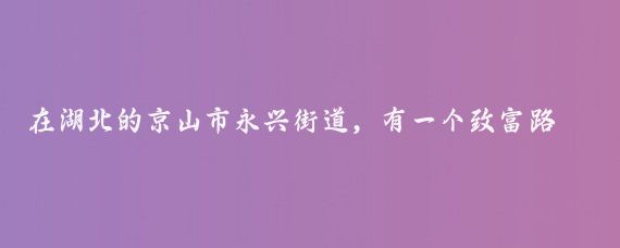 在湖北的京山市永兴街道，有一个致富路