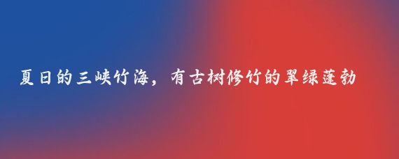 夏日的三峡竹海，有古树修竹的翠绿蓬勃、有泉水叮咚的溪流长瀑