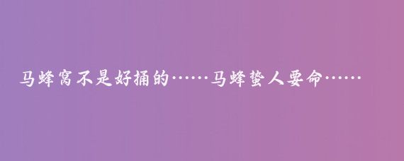 马蜂窝不是好捅的……马蜂蛰人要命……！！！//饺子说事儿:重大挫败！
乌克兰再