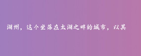 湖州，这个坐落在太湖之畔的城市，以其独特的智慧和对环境的深刻理解