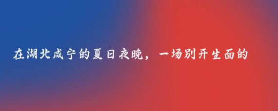 在湖北咸宁的夏日夜晚，一场别开生面的文明新风尚温馨邻里情文明宣传进社区暨