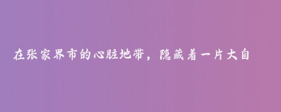 在张家界市的心脏地带，隐藏着一片大自然的奇迹——金鞭溪峡谷